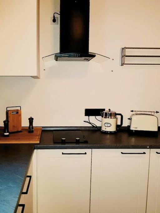 Komfortables Apartment Im Zentrum Erfurts Экстерьер фото